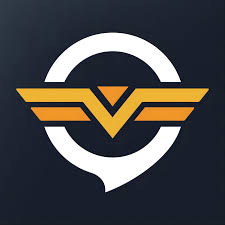 INFINIS寰瀚科技-China Game Marketing-Accelerator- Qeeyou奇游加速器-Logo.jpeg